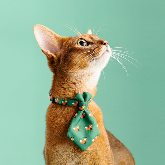 Corbata Ajustable para Perros - Accesorios de Moda Gentleman para Mascotas - Image 10