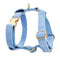 Dog vest2