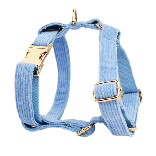 Collar para Perro de Terciopelo Suave - Image 11