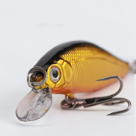 Carnada Viva para Pesca de Agua Dulce - Cucaracha Bass - Image 14
