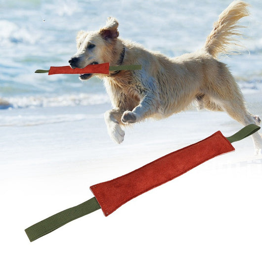Palo de Juego para Perros - Mordedor Resistente