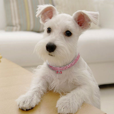 Collar de Perro con Cristales Brillantes - Accesorios Elegantes para Mascotas Pequeñas - Image 6