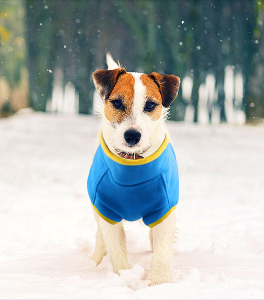 Suéter Polar Grueso de Color Liso para Mascotas - Image 7
