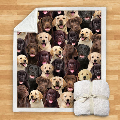 Manta de Franela Estampada para Perros de Diseño Moderno - Image 50