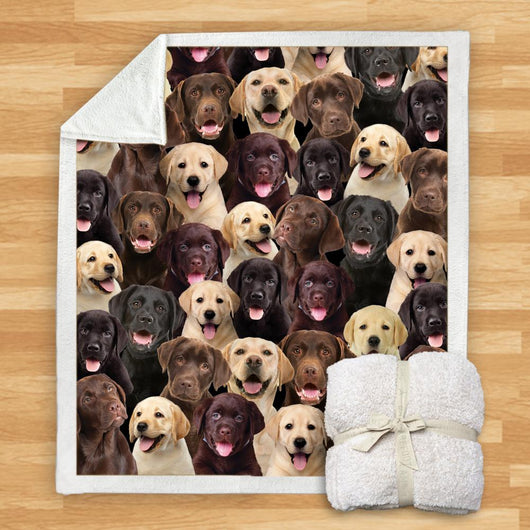 Manta de Franela Estampada para Perros de Diseño Moderno - Image 50