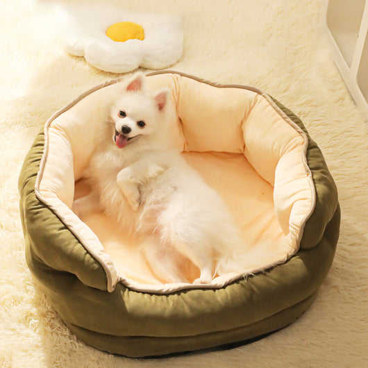 Cama Sofá para Perros Pequeños y Gatos - Colchón Térmico Lavable - Image 2