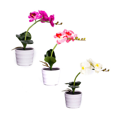Lámpara Solar Orquídea con Mariposas Decorativas - Image 9