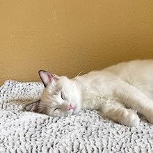 Light gray fluffy pet sleeping mat with a black and white French Bulldog sitting on it. Measures 27.5x18.5 inches. - Image 8