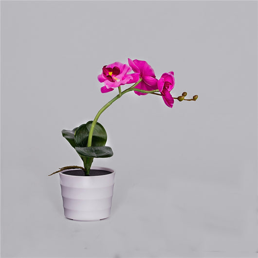 Lámpara Solar Orquídea con Mariposas Decorativas - Image 2