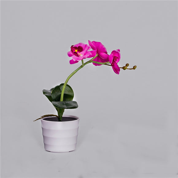 Lámpara Solar Orquídea con Mariposas Decorativas