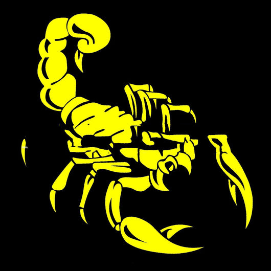 Calcomanías Reflectivas Escorpión para Parachoques Delantero y Trasero - Image 6
