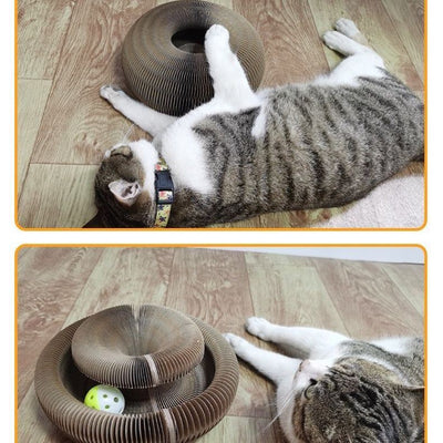 Nido de Cartón Corrugado Plegable para Gatos - Image 13