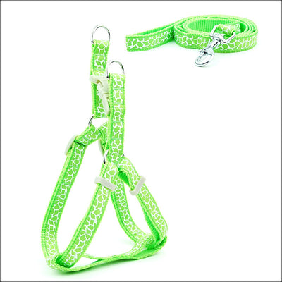 Arnés de Paseo Ajustable para Gatos y Perros Pequeños - Image 24