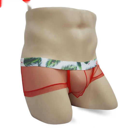 Bóxer Transparente Hombre Malla Ligera Cintura Baja Sexy - Image 7