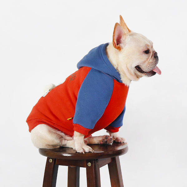 Ropa de Abrigo para Perros Pequeños y Medianos - Otoño e Invierno