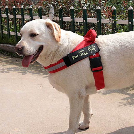 Arnés de Paseo para Perros Medianos y Grandes - Chaleco de Control Seguro