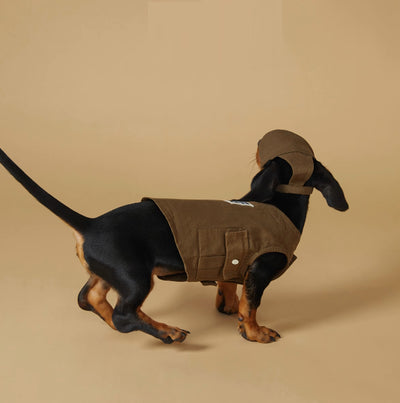 Chaleco Deportivo para Mascotas - Ropa de Trabajo Resistente a Manchas - Image 4