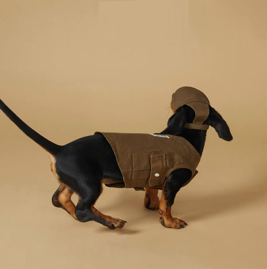 Chaleco Deportivo para Mascotas - Ropa de Trabajo Resistente a Manchas - Image 4