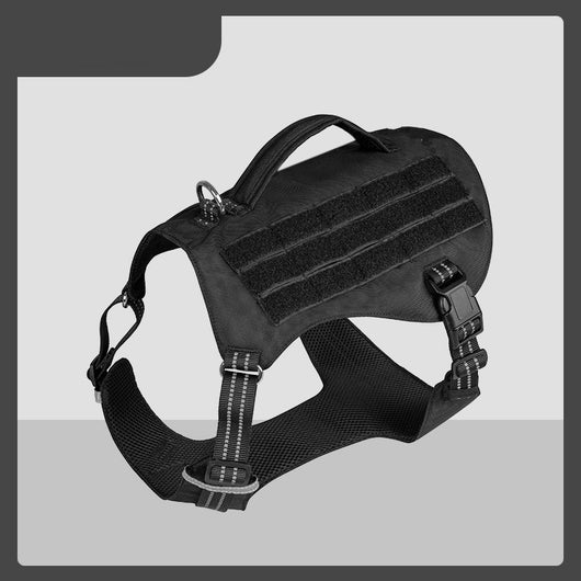 Arnés de Paseo para Perros Cómodo e Impermeable - Image 4