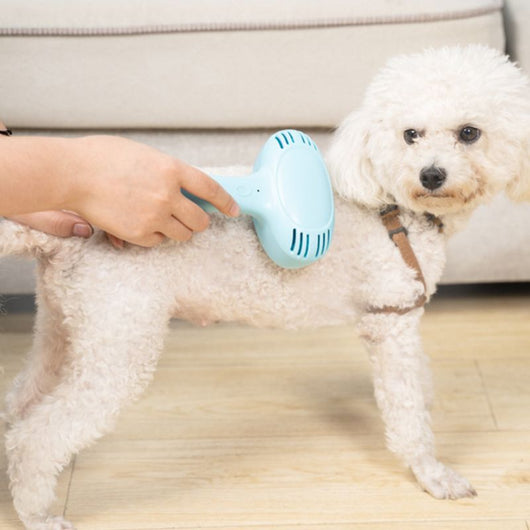 Peine Deslanador para Gatos - Elimina Pelo Flotante - Image 10