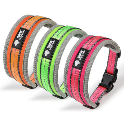 Collar para Perro Grande Pipi Tao Lycra - Image 6