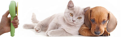 Peine Deslanador para Gatos y Perros con Liberación de Un Click - Image 25