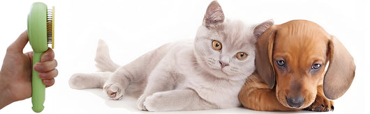 Peine Deslanador para Gatos y Perros con Liberación de Un Click - Image 25