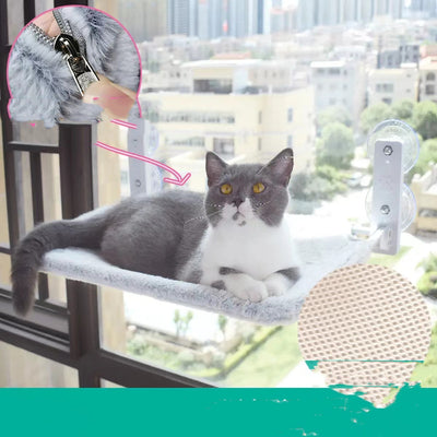 Hamaca de Ventana con Ventosas para Gatos - Cama Colgante de Vidrio - Image 8