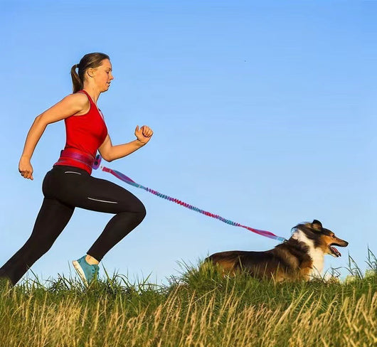 Correa para Perro Manos Libres - Cinturón Ajustable para Caminar, Trotar y Correr - Image 13