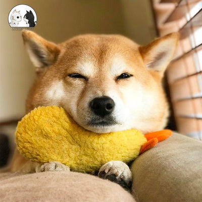 Shiba Inu dog holding a yellow fried shrimp tempura plush squeaky toy in its mouth, looking forward. - Image 11