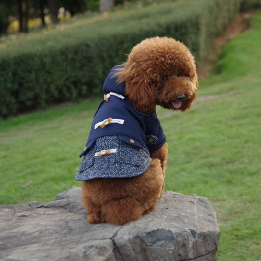 Ropa para Perros con Botones de Cuerno - Diseño Teddy - Image 4