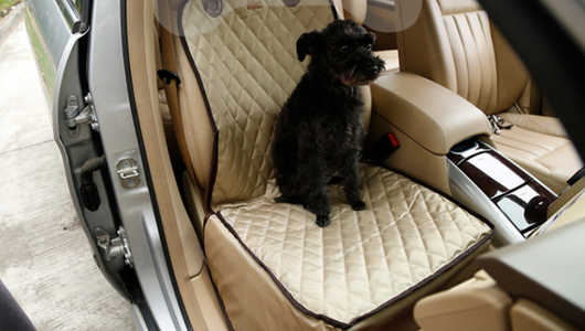 Black quilted waterproof pet seat cover and booster pad installed in a beige car, with a black dog sitting on it. - Image 8