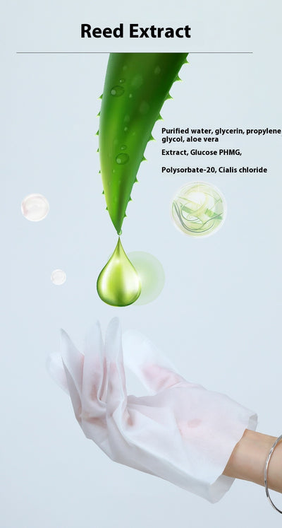 Guantes Desechables Desinfectantes con Papel Desodorizante para Mascotas - Image 6
