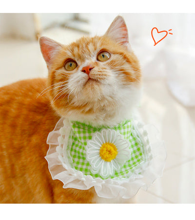 Toalla Absorbente de Microfibra para Mascotas - Image 9