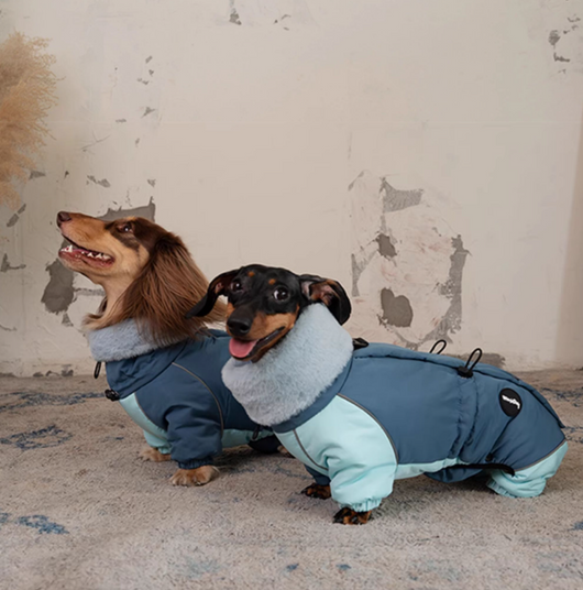 Abrigo Acolchado Térmico para Perros Salchicha - Invierno y Otoño - Image 11