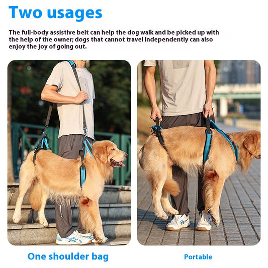 Arnés Auxiliar para Perros con Correa de Soporte - Image 2