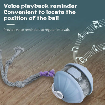 Light blue and white automatic rolling cat toy ball with a purple faux tail, featuring a power button. - Image 22