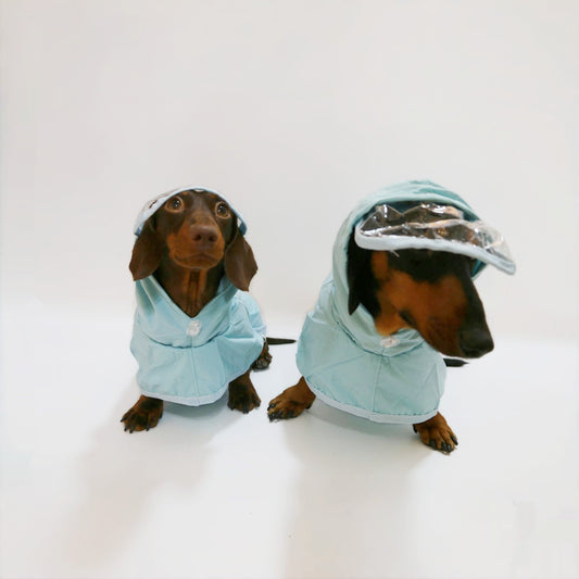 Poncho Impermeable con Capucha para Perros - Image 2
