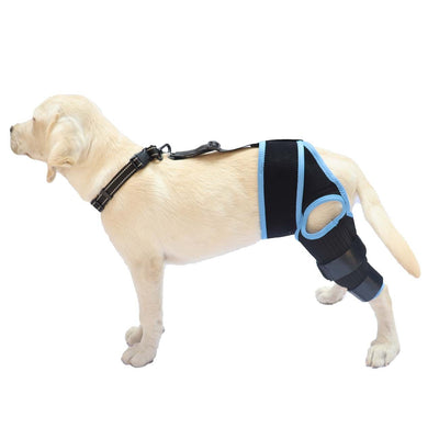 Refuerzo de Rodilla para Perros - Soporte para Patas Traseras - Image 7