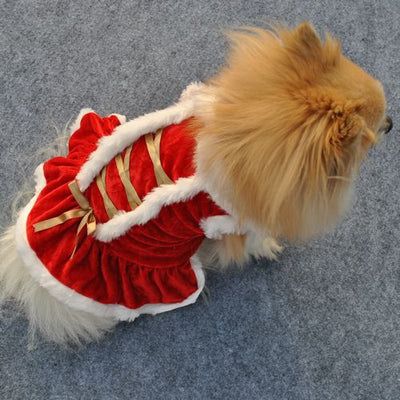 Falda Clásica Roja Navideña para Mascotas - Image 2