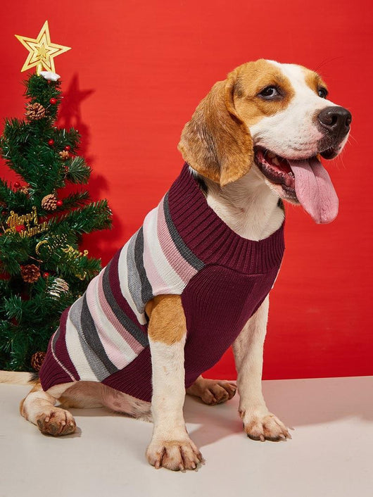Suéter para Perros Pequeños y Medianos con Cierre de Contraste y Bolsillos - Image 19