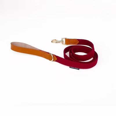 Collar de Cuero para Perro con Letras y Moño - Correa de Mano - Image 17
