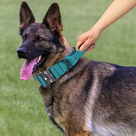 Collar Antiexplosión para Perros Medianos y Grandes