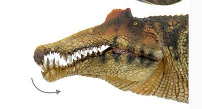 Figura de Dinosaurio Spinosaurus Jurassic - Modelo Coleccionable para Niños - Image 6