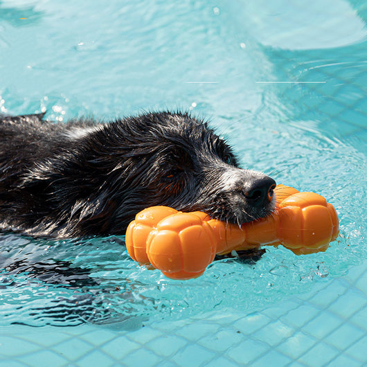Juguete Flotante para Perros con Sonido - Resistente a Mordidas - Image 6