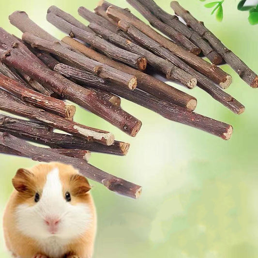 Ramas Secas Naturales para Conejos, Chinchillas y Hámsters