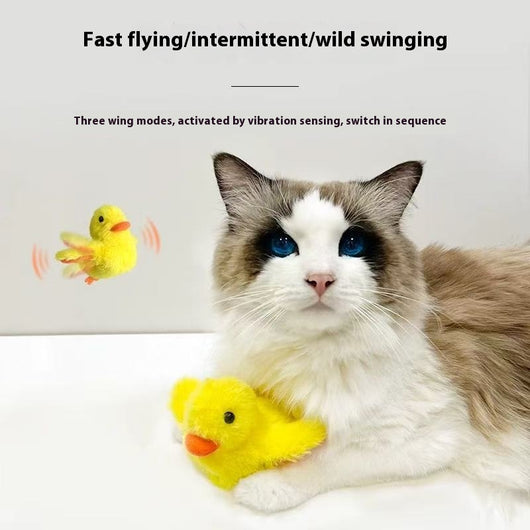 Juguete Interactivo para Gatos - Pájaro Simulado Antiestés - Image 10