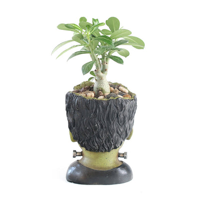 Maceta Decorativa Personalizada Frankenstein - Contenedor de Resina para Escritorio - Image 7