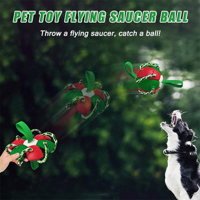 Red and green interactive dog football soccer ball with rope and fabric tabs for training and outdoor play. - Image 25