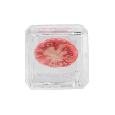 Juguete Congelado de Frutas de Verano para Perros - Image 16